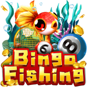 Bingo Fishing on Juan357